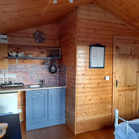 Delightful Log , With Sauna Apartment Coolnacon