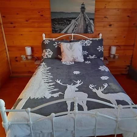 Apartment Delightful Log , With Sauna Coolnacon