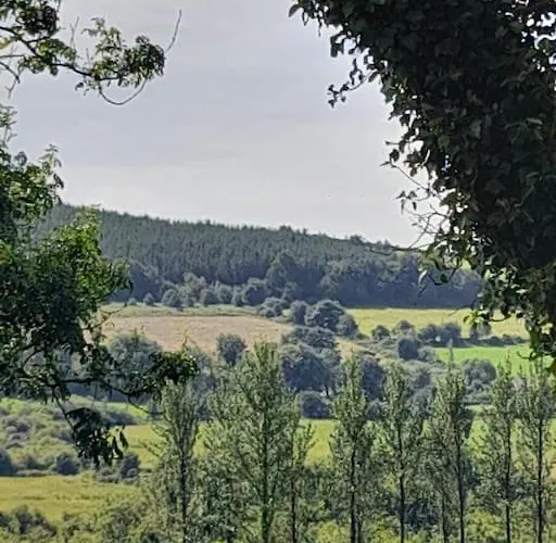 Delightful Log * Coolnacon